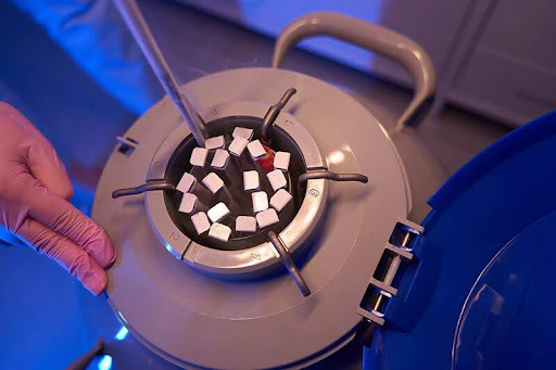 ivf