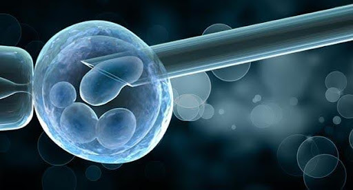 ivf