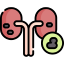 urology