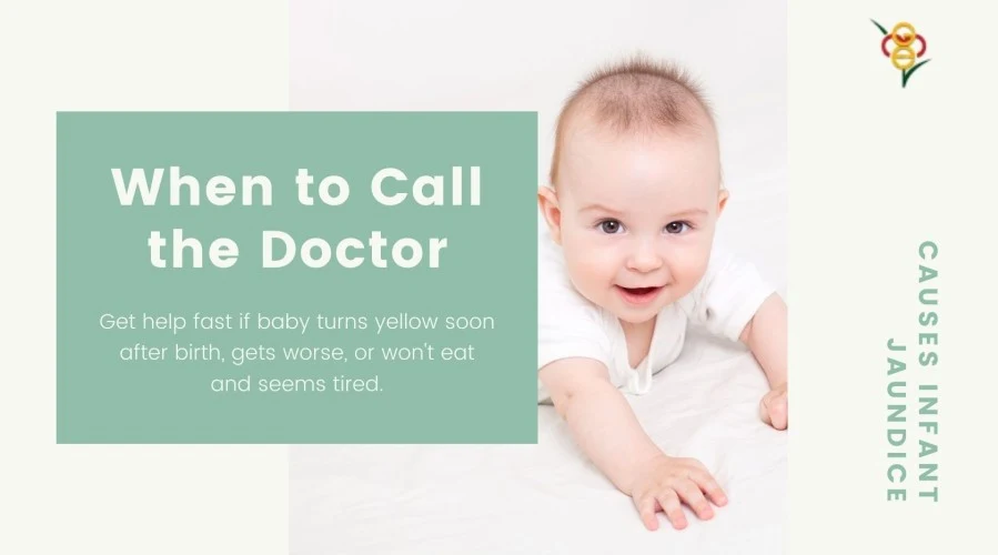 What causes Infant Jaundice?