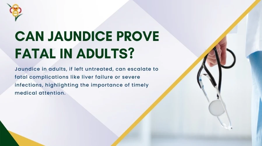 Can jaundice prove fatal in adults