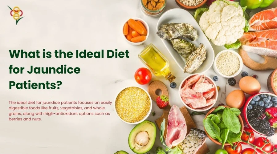 What is the ideal diet for jaundice patients