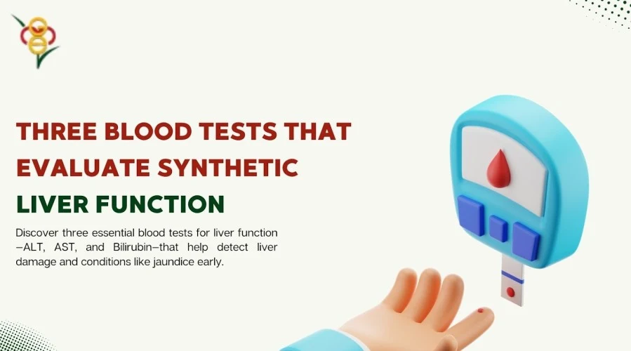 What three blood tests examine synthetic liver function?​