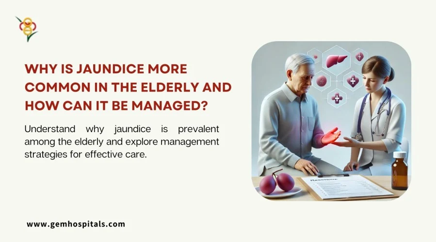 Why Is Jaundice More Common in the Elderly and How Can It Be Managed?