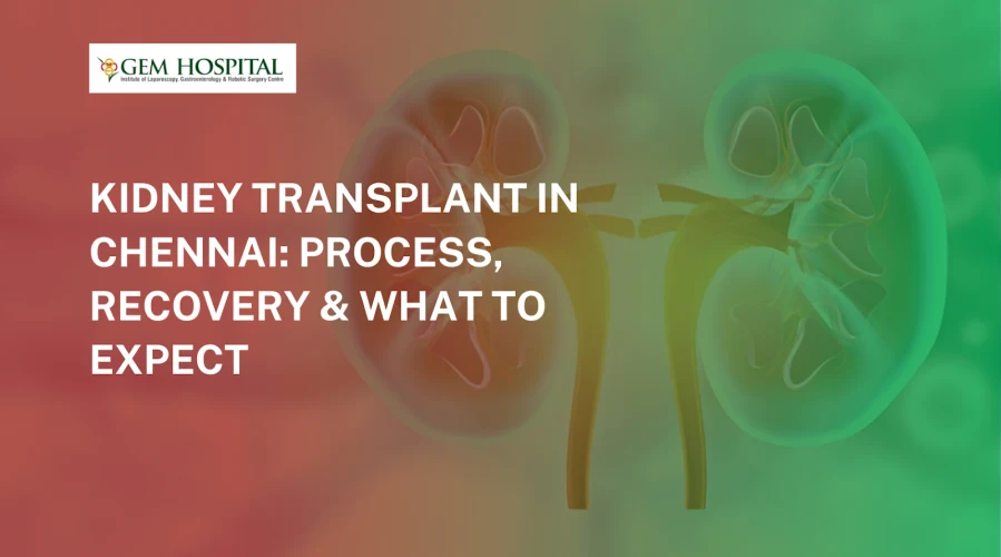 Kidney Transplant in Chennai: Process, Recovery & What to Expect