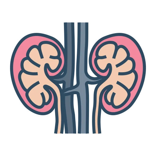 Nephrology