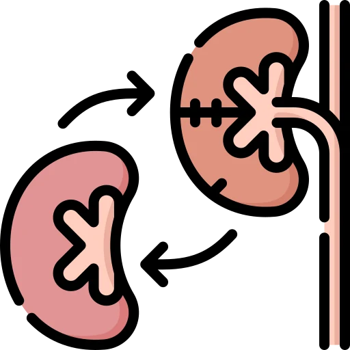Liver / Kidney Transplant