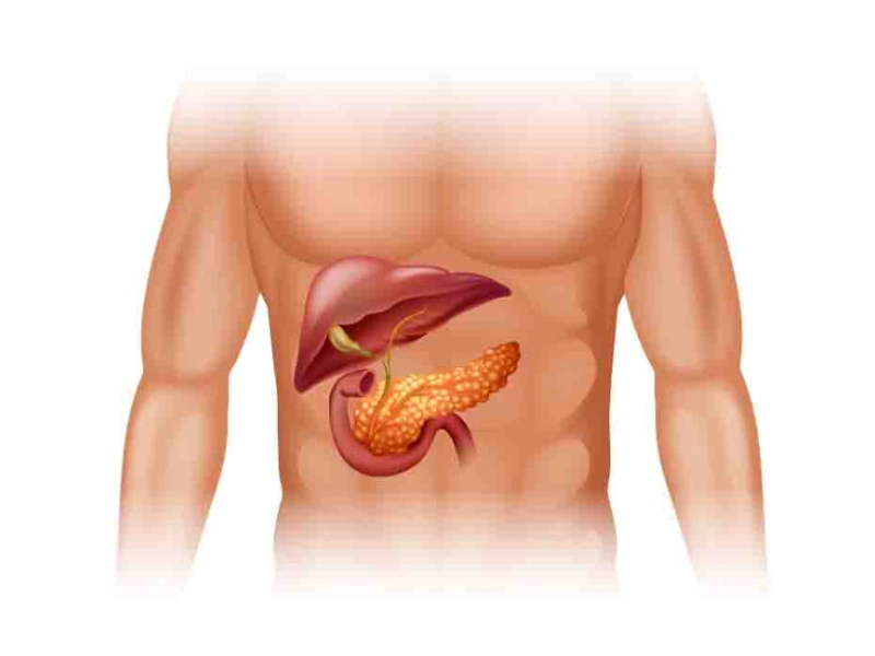 Pancreatic Cancer