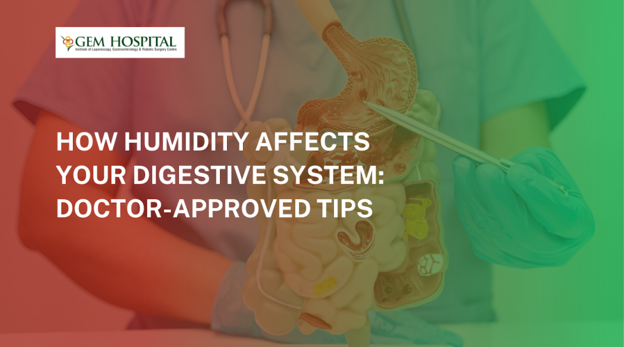 How Humidity Affects Your Digestive System: Doctor-Approved Tips