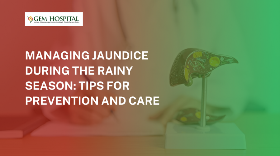 Gall Bladder Health in the Rainy Season: Preventing Infections and Stones