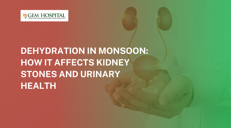  Dehydration in Monsoon: How It Affects Kidney Stones and Urinary Health