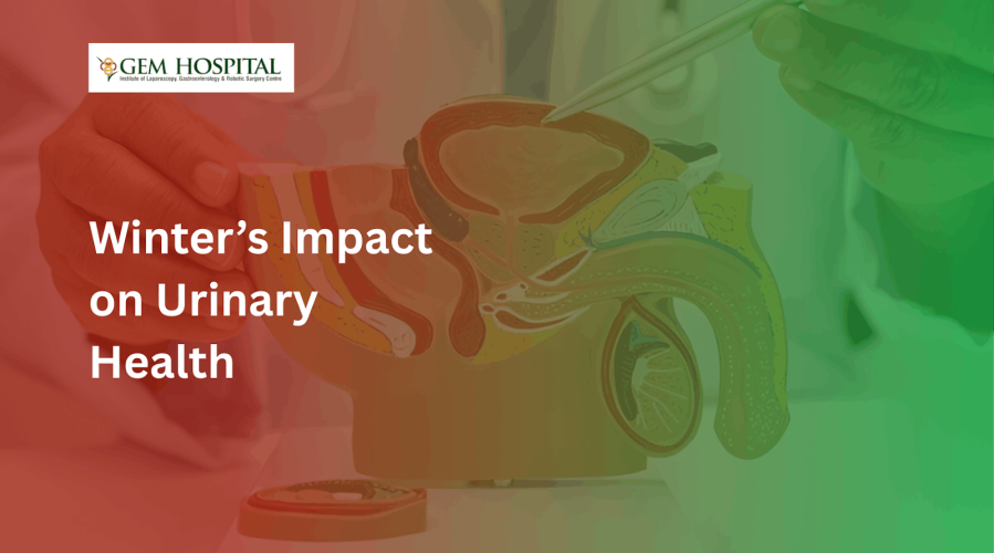 Urinary Problems During Winter: Cold Climate Effects on Urology Health