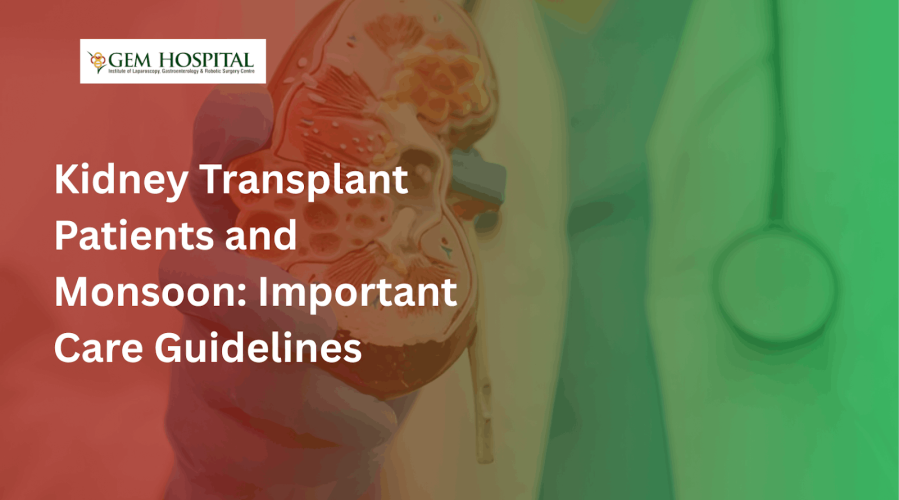 Kidney Transplant Patients and Monsoon: Important Care Guidelines