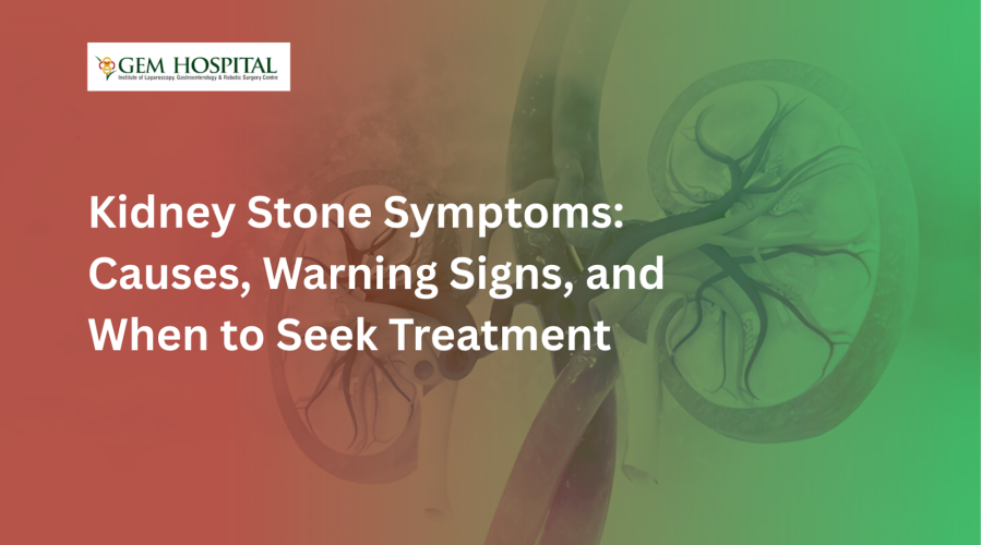 Kidney Stone Symptoms: Causes, Warning Signs, and When to Seek Treatment