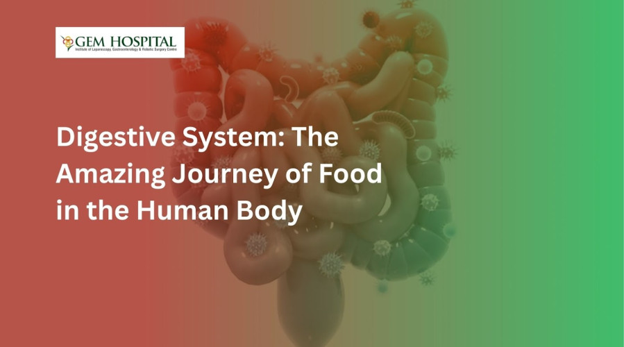 Tips for Eating Healthy When Working From Home